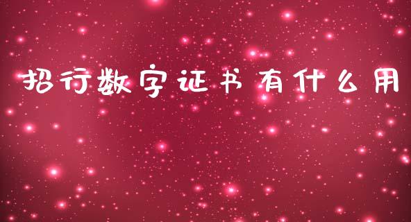 招行数字证书有什么用_https://wap.yjjixie.cn_港股行情_第1张