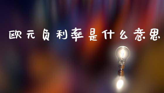 欧元负利率是什么意思_https://wap.yjjixie.cn_商业资讯_第1张