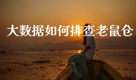 大数据如何排查老鼠仓_https://wap.yjjixie.cn_港股行情_第1张