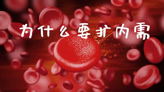 为什么要扩内需_https://wap.yjjixie.cn_港股行情_第1张