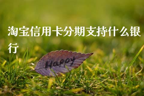淘宝信用卡分期支持什么银行_https://wap.yjjixie.cn_商业资讯_第1张