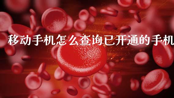 移动手机怎么查询已开通的手机_https://wap.yjjixie.cn_证券市场_第1张