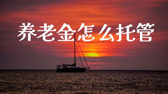 养老金怎么托管_https://wap.yjjixie.cn_证券市场_第1张