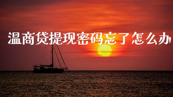 温商贷提现密码忘了怎么办_https://wap.yjjixie.cn_港股行情_第1张