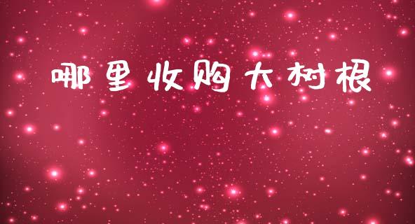 哪里收购大树根_https://wap.yjjixie.cn_保险理财_第1张