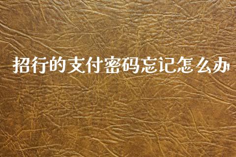 招行的支付密码忘记怎么办_https://wap.yjjixie.cn_证券市场_第1张