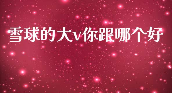 雪球的大v你跟哪个好_https://wap.yjjixie.cn_港股行情_第1张