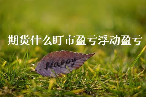 期货什么盯市盈亏浮动盈亏_https://wap.yjjixie.cn_证券市场_第1张