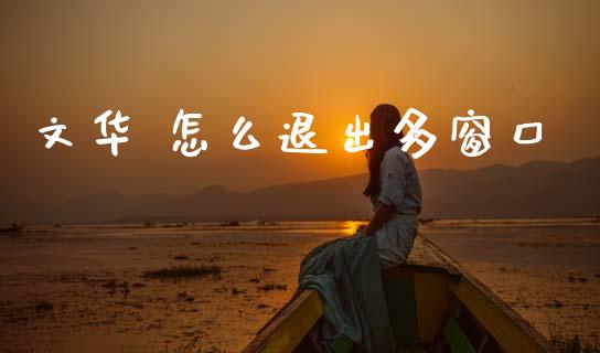 文华 怎么退出多窗口_https://wap.yjjixie.cn_商业资讯_第1张