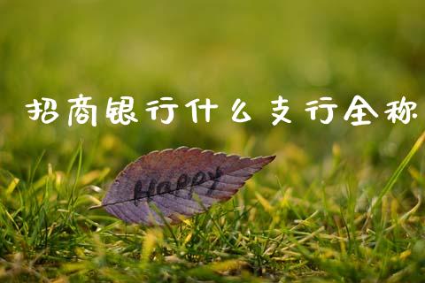 招商银行什么支行全称_https://wap.yjjixie.cn_港股行情_第1张