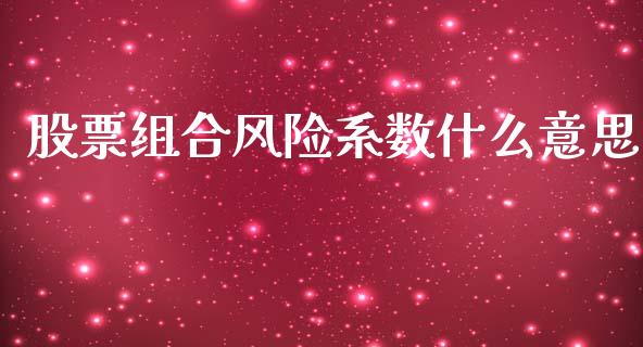 股票组合风险系数什么意思_https://wap.yjjixie.cn_证券市场_第1张