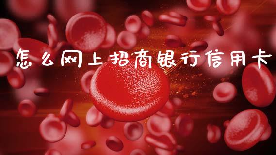 怎么网上招商银行信用卡_https://wap.yjjixie.cn_商业资讯_第1张