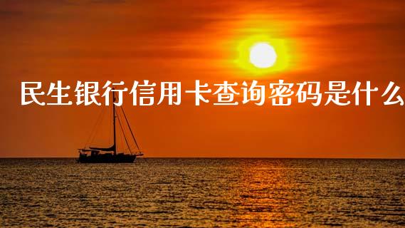 民生银行信用卡查询密码是什么_https://wap.yjjixie.cn_证券市场_第1张