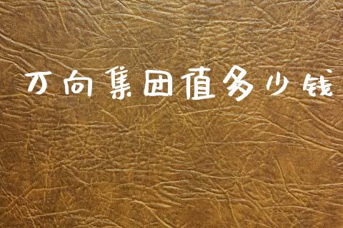 万向集团值多少钱_https://wap.yjjixie.cn_保险理财_第1张
