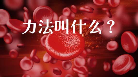 力法叫什么？_https://wap.yjjixie.cn_保险理财_第1张