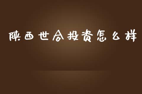 陕西世合投资怎么样_https://wap.yjjixie.cn_证券市场_第1张