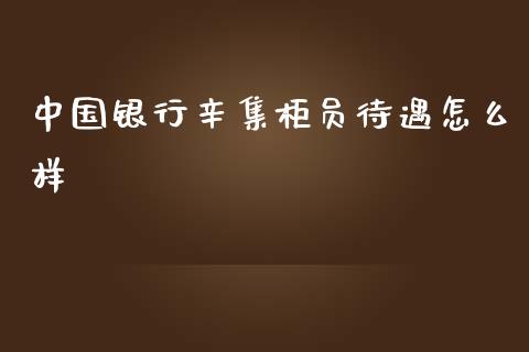 中国银行辛集柜员待遇怎么样_https://wap.yjjixie.cn_保险理财_第1张