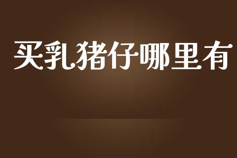 买乳猪仔哪里有_https://wap.yjjixie.cn_证券市场_第1张