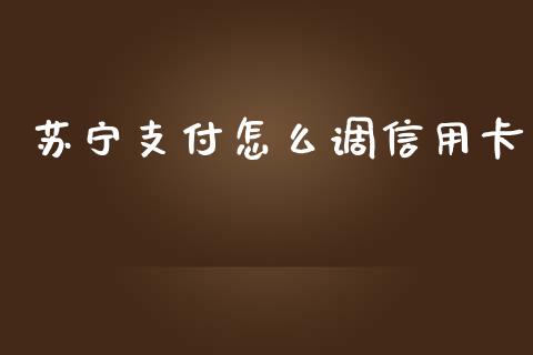 苏宁支付怎么调信用卡_https://wap.yjjixie.cn_商业资讯_第1张