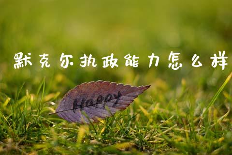 默克尔执政能力怎么样_https://wap.yjjixie.cn_商业资讯_第1张
