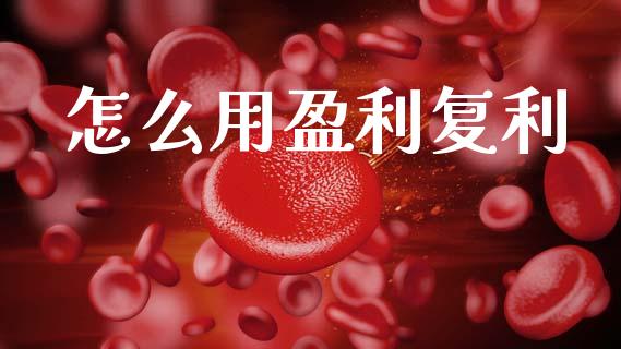 怎么用盈利复利_https://wap.yjjixie.cn_港股行情_第1张