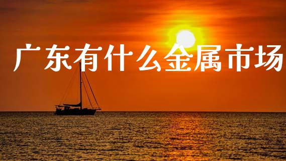 广东有什么金属市场_https://wap.yjjixie.cn_港股行情_第1张