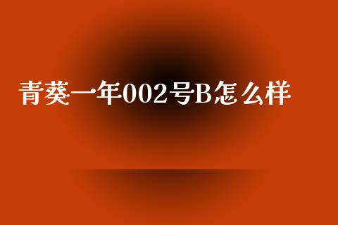 青葵一年002号B怎么样_https://wap.yjjixie.cn_证券市场_第1张
