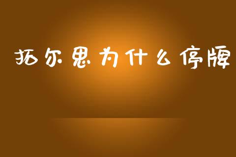 拓尔思为什么停牌_https://wap.yjjixie.cn_证券市场_第1张