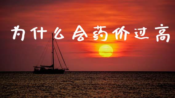 为什么会药价过高_https://wap.yjjixie.cn_港股行情_第1张