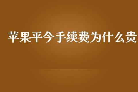 苹果平今手续费为什么贵_https://wap.yjjixie.cn_商业资讯_第1张