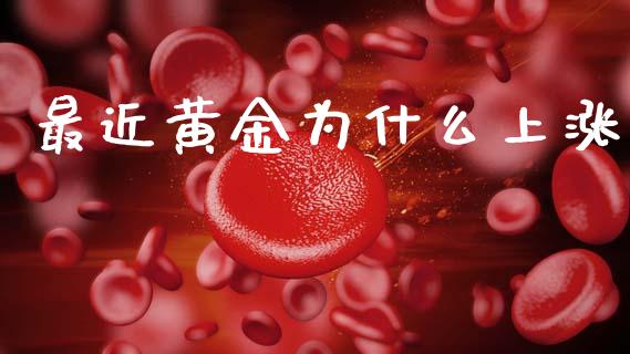 最近黄金为什么上涨_https://wap.yjjixie.cn_保险理财_第1张