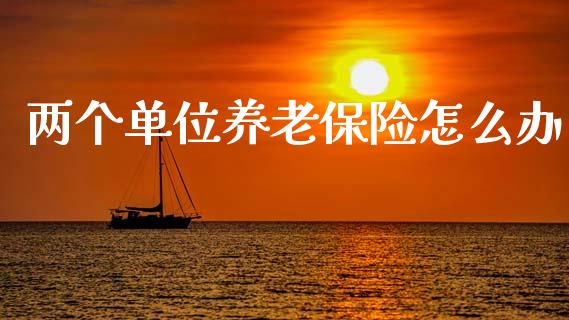 两个单位养老保险怎么办_https://wap.yjjixie.cn_保险理财_第1张
