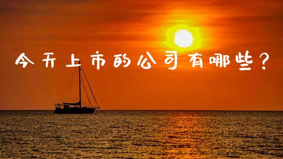 今天上市的公司有哪些？_https://wap.yjjixie.cn_商业资讯_第1张