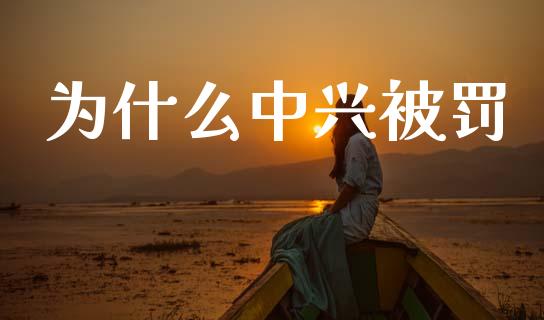 为什么中兴被罚_https://wap.yjjixie.cn_商业资讯_第1张