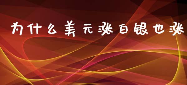 为什么美元涨白银也涨_https://wap.yjjixie.cn_保险理财_第1张
