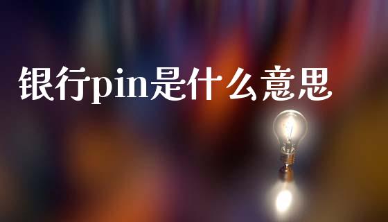 银行pin是什么意思_https://wap.yjjixie.cn_商业资讯_第1张