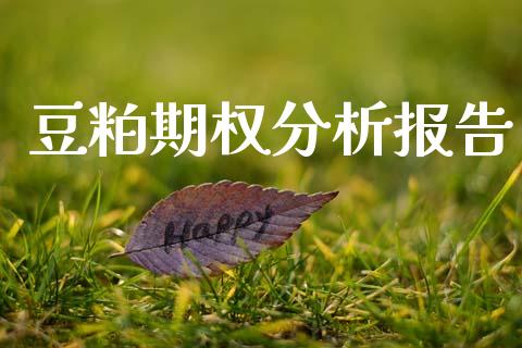 豆粕期权分析报告_https://wap.yjjixie.cn_证券市场_第1张