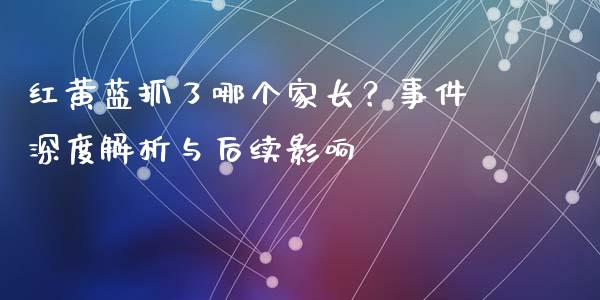 红黄蓝抓了哪个家长？事件深度解析与后续影响_https://wap.yjjixie.cn_保险理财_第1张