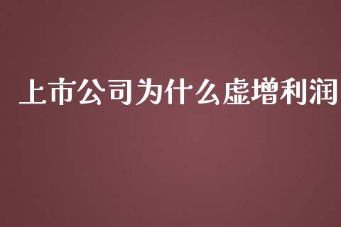 上市公司为什么虚增利润_https://wap.yjjixie.cn_证券市场_第1张