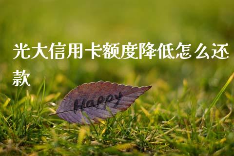 光大信用卡额度降低怎么还款_https://wap.yjjixie.cn_商业资讯_第1张
