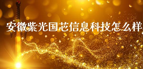 安徽紫光国芯信息科技怎么样_https://wap.yjjixie.cn_港股行情_第1张