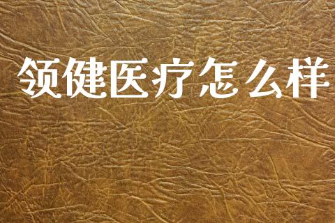 领健医疗怎么样_https://wap.yjjixie.cn_保险理财_第1张