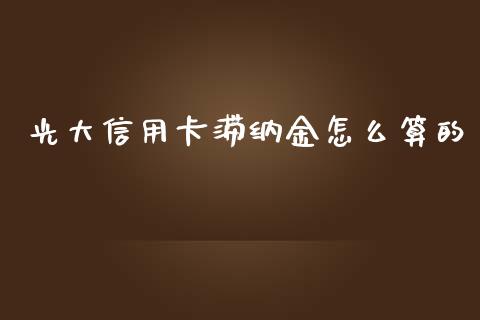 光大信用卡滞纳金怎么算的_https://wap.yjjixie.cn_保险理财_第1张