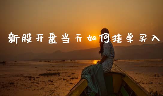 新股开盘当天如何挂单买入_https://wap.yjjixie.cn_证券市场_第1张