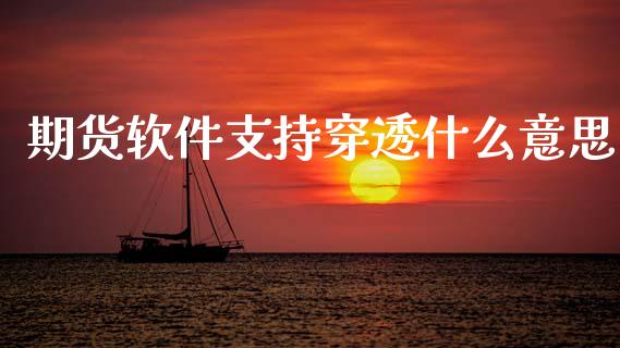 期货软件支持穿透什么意思_https://wap.yjjixie.cn_保险理财_第1张