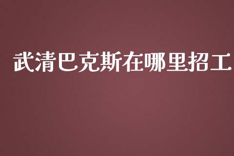 武清巴克斯在哪里招工_https://wap.yjjixie.cn_证券市场_第1张