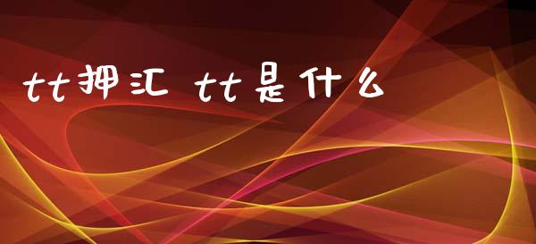 tt押汇 tt是什么_https://wap.yjjixie.cn_商业资讯_第1张