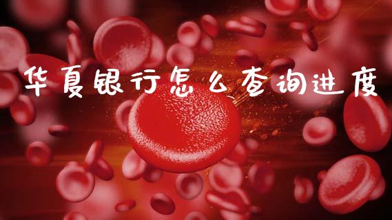 华夏银行怎么查询进度_https://wap.yjjixie.cn_港股行情_第1张