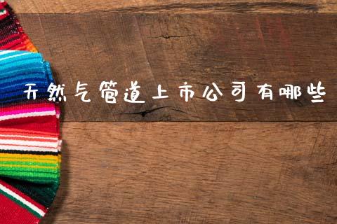 天然气管道上市公司有哪些_https://wap.yjjixie.cn_港股行情_第1张