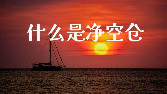 什么是净空仓_https://wap.yjjixie.cn_港股行情_第1张